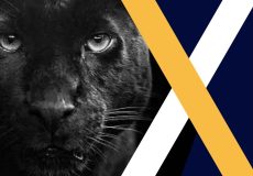 چرا آزا ابسولوت؟